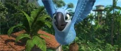 Offres 🥰 Rio 2 - Dschungelfieber (2014) ❤️ -Blu-ray 2014 Soldes Magasin 10296849 5 92