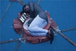 Offres 🎁 Life Of Pi - Schiffbruch Mit Tiger (2012) (Blu-ray 3D + Blu-ray + DVD) 🧨 -Blu-ray 2014 Soldes Magasin 10310039 8 92