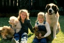 Meilleure vente 🌟 Der Wolf Hetzt Die Meute (1984) 🛒 -Blu-ray 2014 Soldes Magasin 10340673 3 92