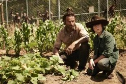 Les meilleures critiques de 🧨 The Walking Dead - Staffel 4 (Extended Edition, Steelbook, Uncut, 5 Blu-rays) 🧨 -Blu-ray 2014 Soldes Magasin 10351632 8 92